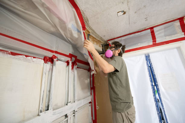 Best Mold Odor Removal Services  in Forked River, NJ