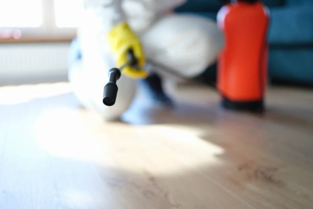 Mold Odor Removal Services in Forked River, NJ