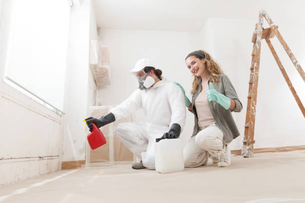 Best Emergency Mold Remediation  in Forked River, NJ